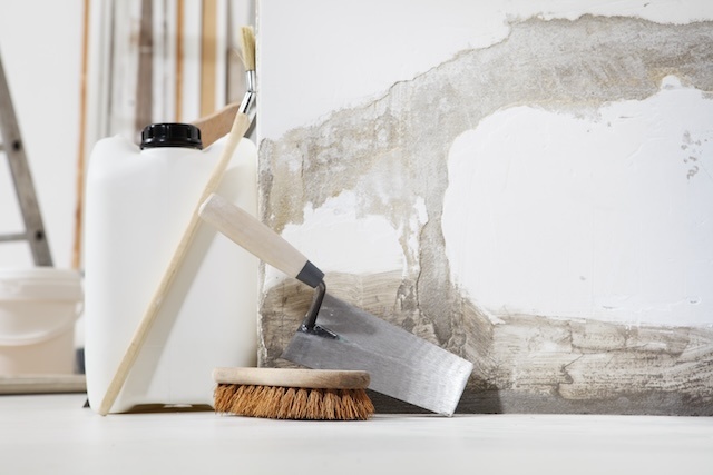 How to Stop Mold from Growing in Your Home - Asbestos Removal Edmonton